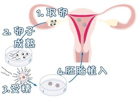 靠谱代怀服务联系电话